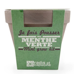 Pot basalte pour semer sa menthe