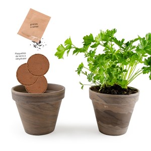 Pot basalte pour persil à feuille plate