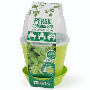 Pot cloche pour semis de persil