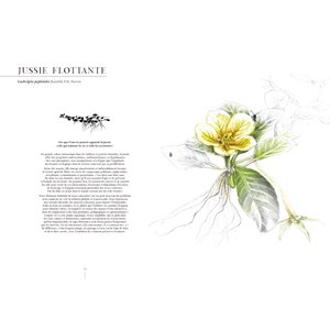 Éloge des indisciplinées