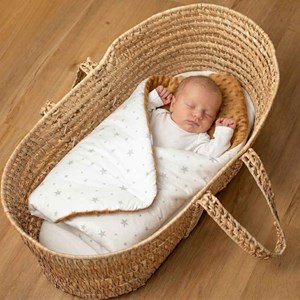 Gigoteuse emmaillotage minky stella -