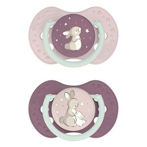 Lot 2 sucettes difrax lovi nuit jour -
