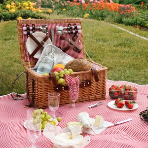 Panier de pique-nique pour 4 - rouge