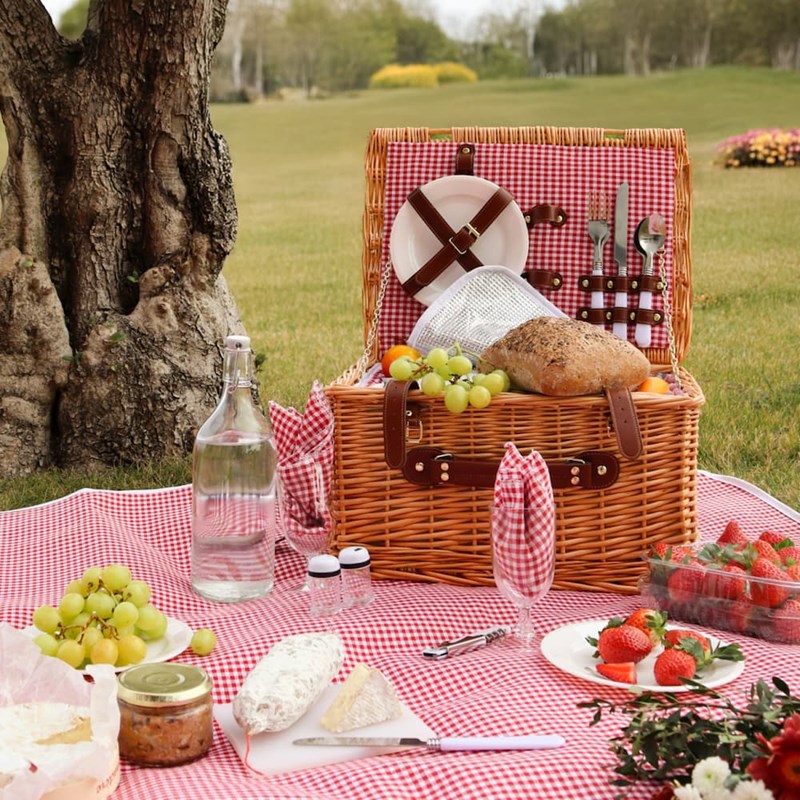 Linxor - Panier de pique-nique pour 2 - rouge