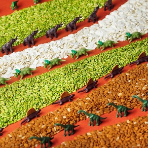 Bouteille sensorielle spy jurassic