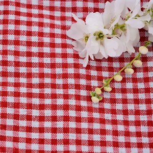 Nappe picnic vichy rouge 140x140cm