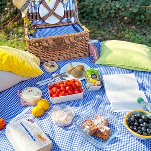Nappe xl picnic vichy bleu 280x140cm