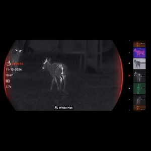 Monoculaire thermique hikmicro falcon fq50 2.0 avec télémètre laser