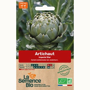 Artichaut impérial star bio