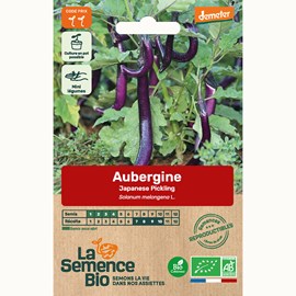 Aubergine japanese pickling bio