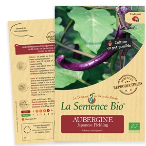 Aubergine japanese pickling bio