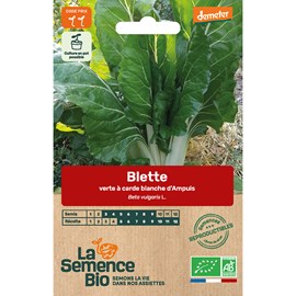 Blette carde blanche d'ampuis bio