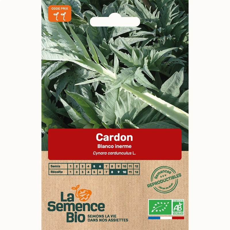 Cardon blanco inerme bio