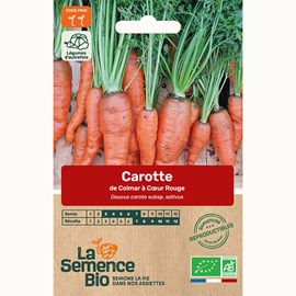 Carotte de colmar à cœur rouge  bio