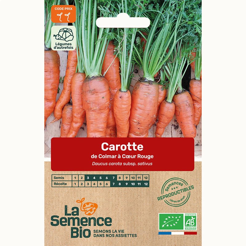 Carotte de colmar à cœur rouge bio