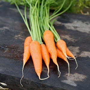 Carotte de colmar à cœur rouge  bio