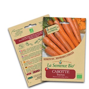 Carotte touchon bio
