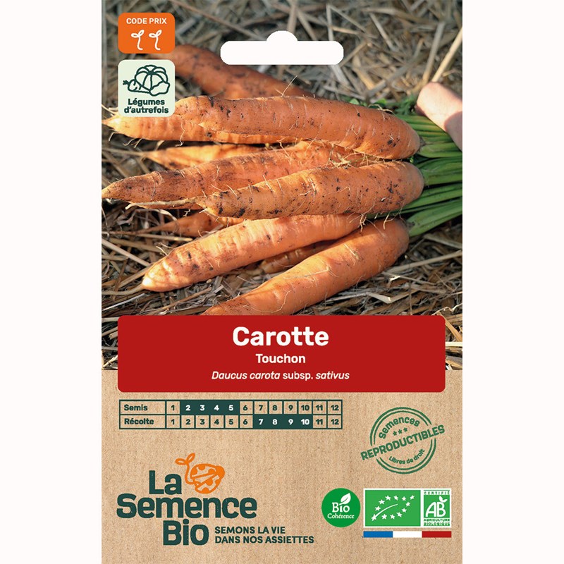 Carotte touchon bio