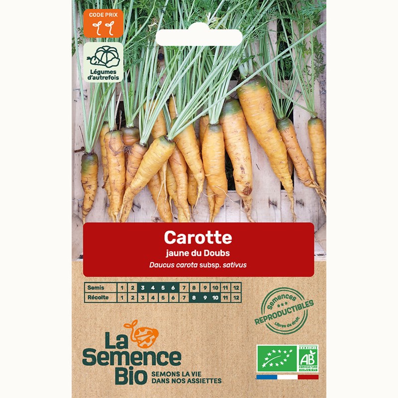 Carotte longue jaune du doubs bio