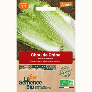 Chou de chine pé-tsaï granaat bio