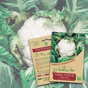 Chou-fleur white rock bio