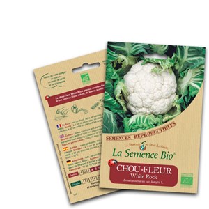 Chou-fleur white rock bio