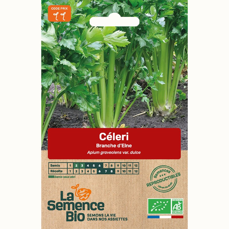Celeri branche vert d'elne bio