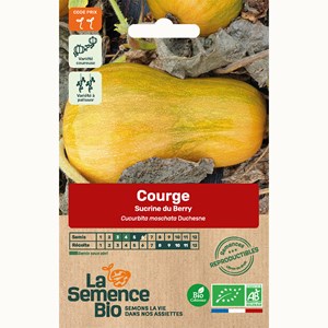 Courge sucrine du berry bio