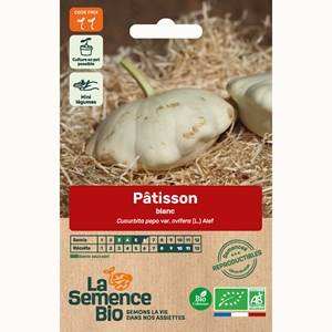 Patisson blanc bio
