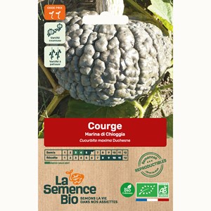 Courge marina di chioggia bio