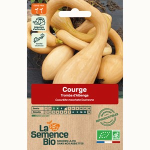 Courge tromba d'albenga bio