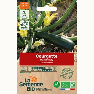 Courgette black beauty bio