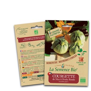 Courgette de nice à fruits ronds bio
