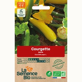 Courgette gold rush bio