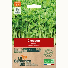 Cresson alénois bio