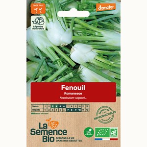 Fenouil romanesco bio