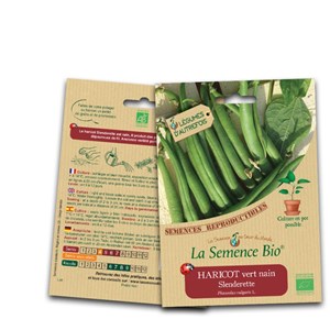 Haricot vert nain slenderette bio