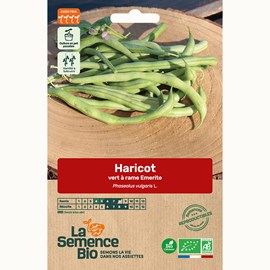 Haricot vert grimpant emerite bio
