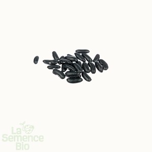 Haricot vert grimpant emerite bio