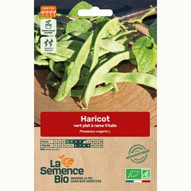 Haricot vert plat grimpant vitalis bio