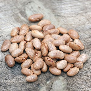 Haricot violet grimpant blauhilde bio