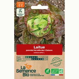 Laitue merveille des quatre saisons bio