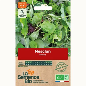 Mesclun crétois bio