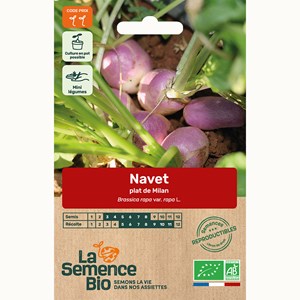 Navet plat de milan bio