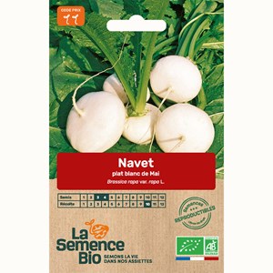 Navet plat blanc bio