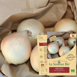 Oignon jaune des cévennes bio