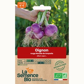 Oignon rouge morada de amposta bio