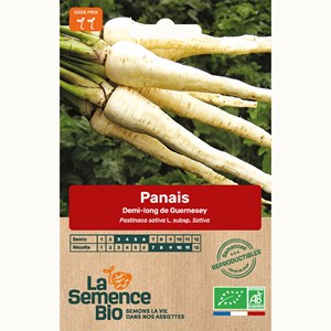Panais demi-long de guernesey bio