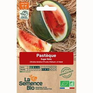 Pasteque sugar baby  bio