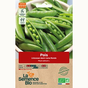 Pois à écosser nain rondo bio
